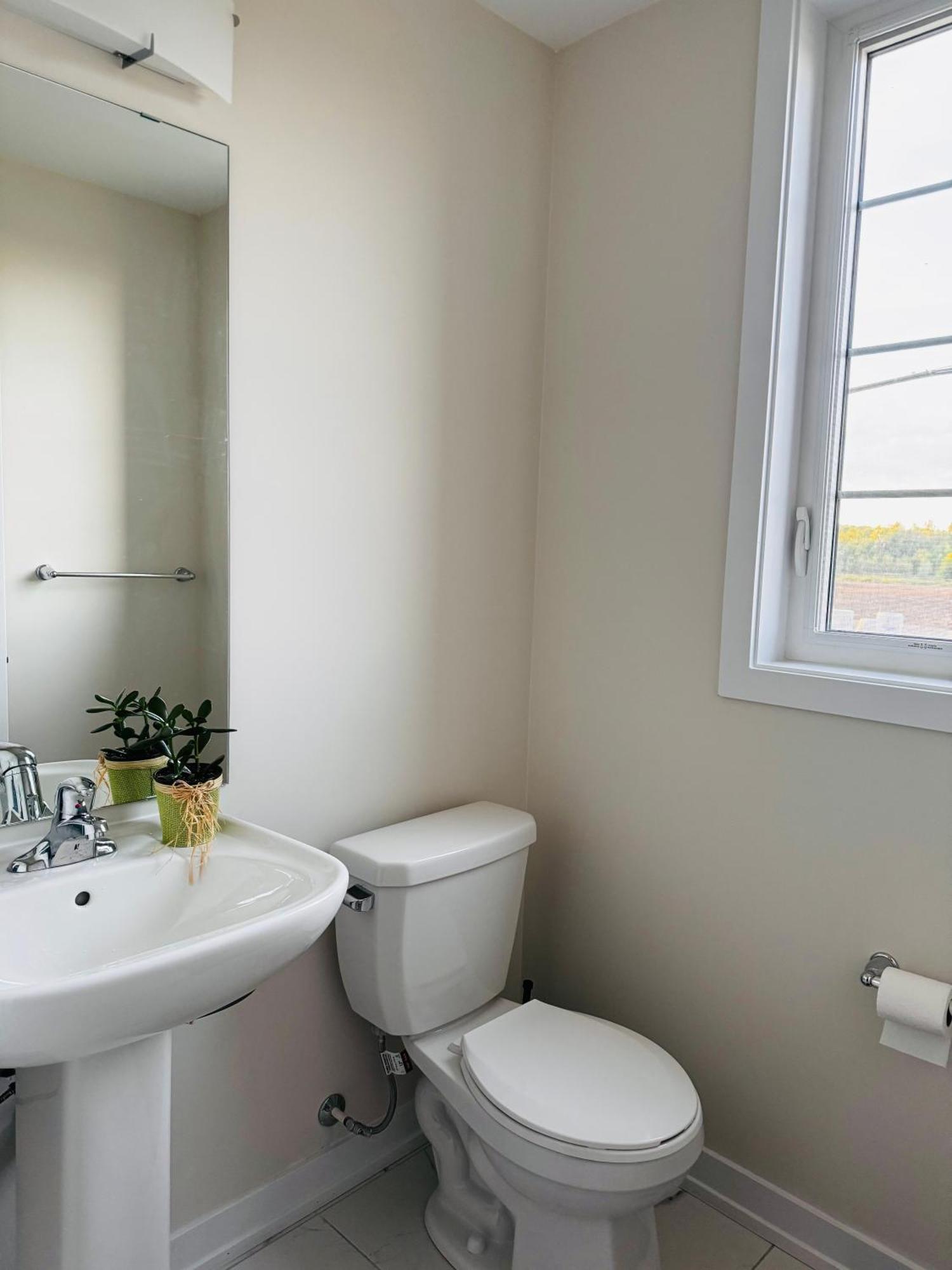 Have Whole House To Yourself Thorold Eksteriør bilde